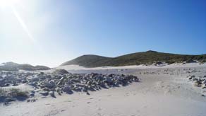 Cape Point Kitesurfing