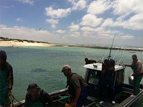 Struisbaai Harbour kitesurfing