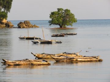 Zanzibar Catamaran Sailing