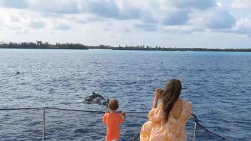 Zanzibar Catamaran Dolphins