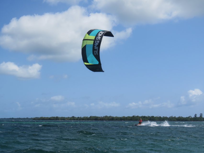 thumbnail image 2 of Wolkensturmer Olli Octopus Kite - Delta Single Line Traditional Flying 2 of 9