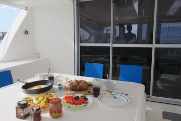 best kite and sail food included